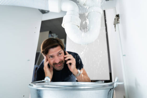 Best Residential Plumbing Services  in Carterville, MO