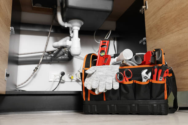 Best Plumbing Services Near Me  in Carterville, MO