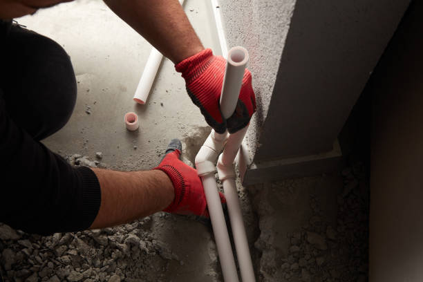 Best Local Plumber Services  in Carterville, MO