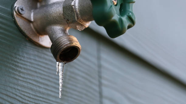 Best Leak Detection Services  in Carterville, MO